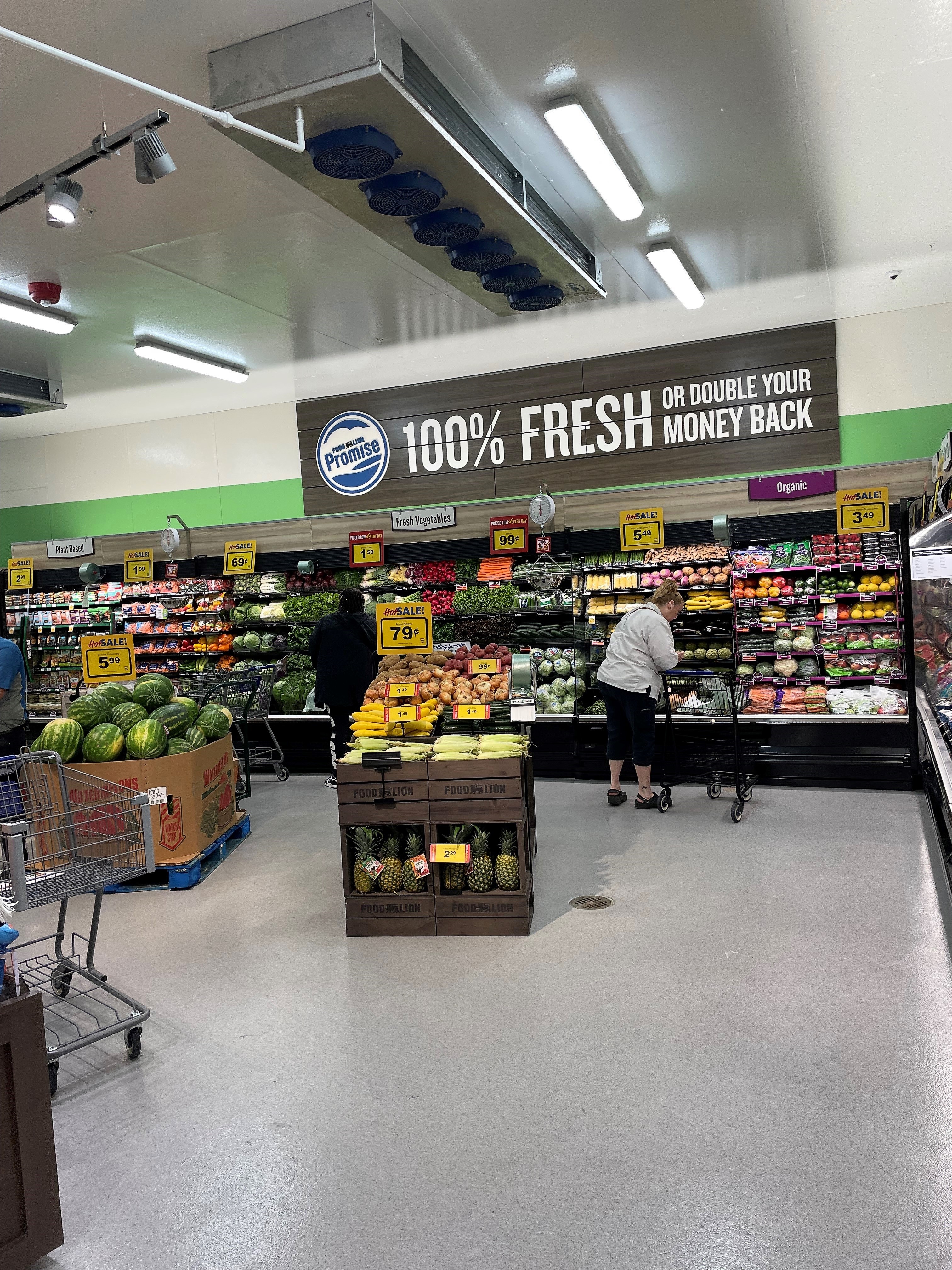 Food Lion 12